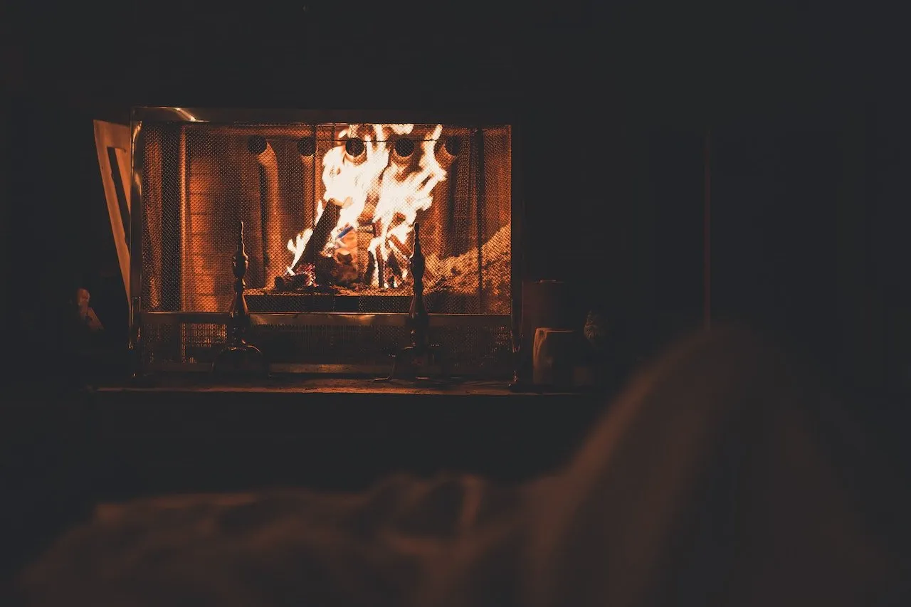 Things to Know Before Buying a Wood Burning Stove: Our Guide